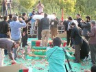 بوستان شقایق میزبان شقایق های عاشق شد بوستان شقایق میزبان شقایق های عاشق شد