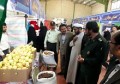 نمایشگاه «اقتصاد منهای نفت» در تربت حیدریه برپا شد
