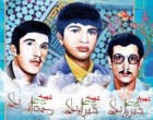 رونمایی ازکتاب خاطرات مادر برادران شهید نمکی