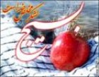 دیدار دانش آموزان بسیجی رشتخوار با خانواده دانش آموز شهید سید محسن هاشمی دیدار دانش آموزان بسیجی رشتخوار با خانواده دانش آموز شهید سید محسن هاشمی