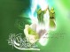واقعه غدیر نقش سرنوشت سازی در تعیین مسیر آینده اسلام داشته است