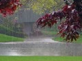 هوای کردستان ۵ درجه سردتر می شود