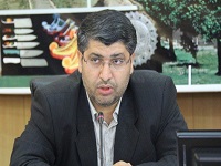 دولت ارائه بسته های تشویقی زوجین به فرندآوری را با جدیت دنبال کند