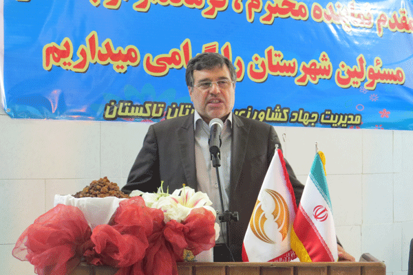 اقتصاد مقاومتی و ضرورت تشکیل مرکز انگور در تاکستان