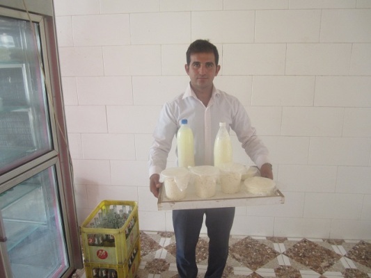 استحکام اقتصاد مقاومتی با تولید لبنیات