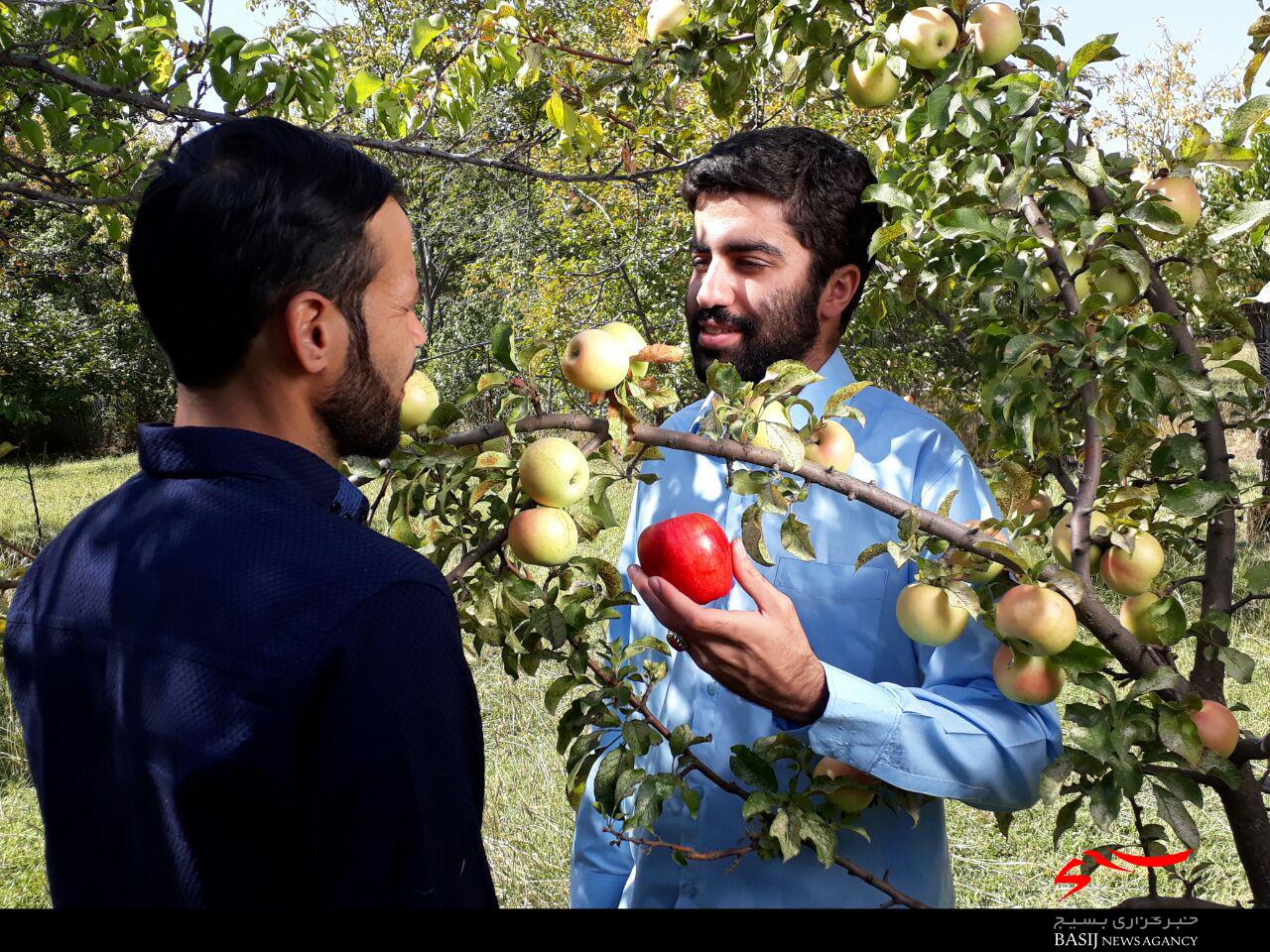 مستند روایتی سردار شهید عمران پستی کلید خورد