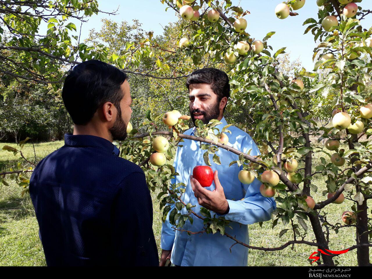مستند روایتی سردار شهید عمران پستی کلید خورد
