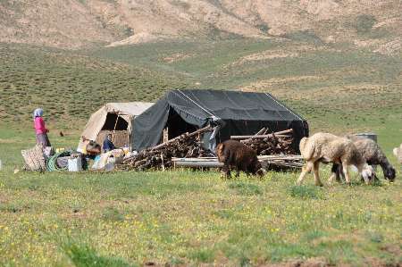 منابع طبیعی مانع کار عشایر همدان شده است