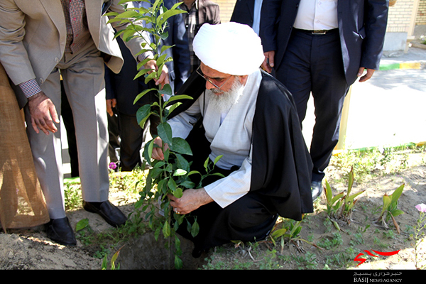 کاشت نهال توسط نماینده ولی فقیه در استان بوشهردرهفته منابع طبیعی + تصاویر‎