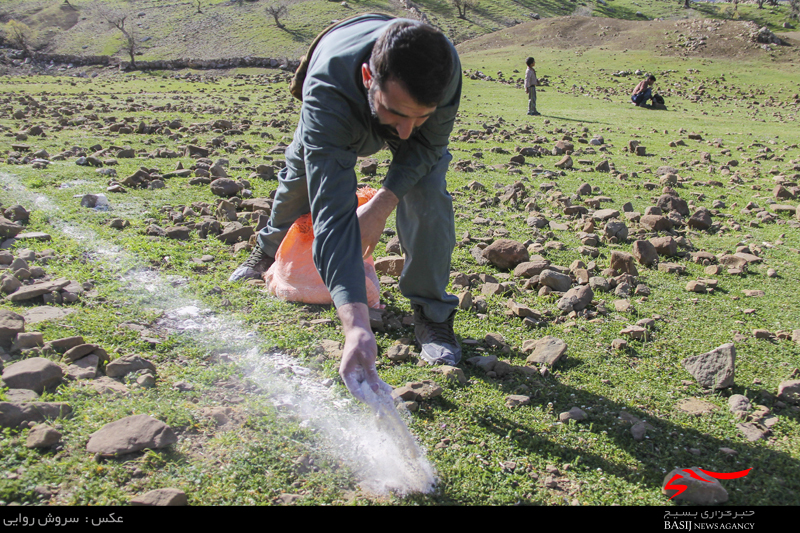 برگزاری کلاس های آموزشی با هدف کسب و کار/باز شدن پای ماهواره در روستای &laquo;میدان بزرگ&raquo;/فقر فرهنگی بیداد می کند/ بخشی از هزینه کاغذبازی های اداری را صرف مناطق محروم کنید/ واکسیناسیون 2 هزار رأس دام&nbsp; و 500&nbsp; طیور در روستای &laquo;میدان بزرگ&raquo;