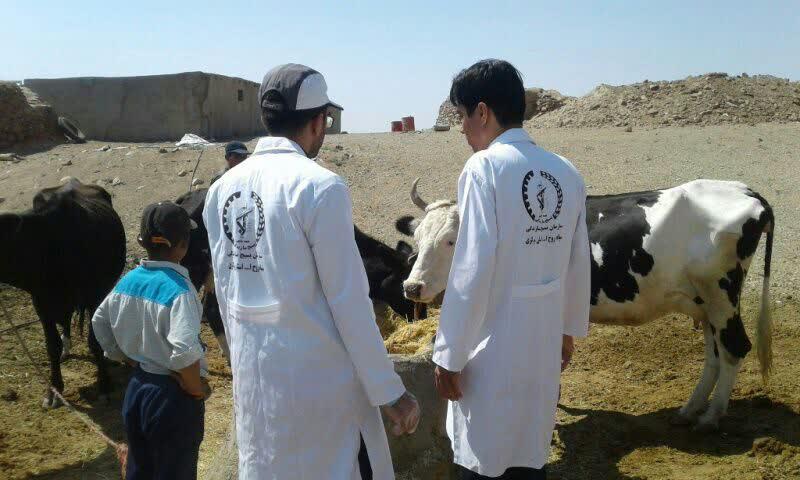 حضور کم نظیر جهادگران زرندیه در مناطق محروم بخش خرقان شهرستان