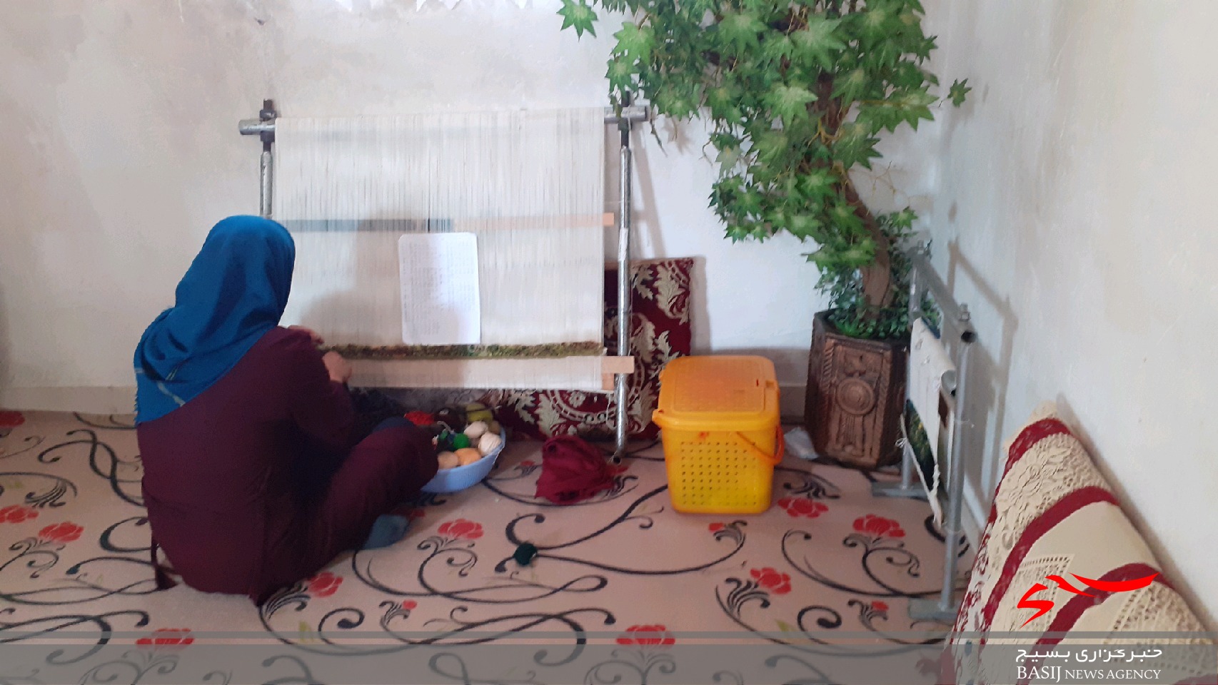 شبکه های تخصصی اشتغالزایی با مشارکت مردم در روستاهای محروم مازندران +تصاویر