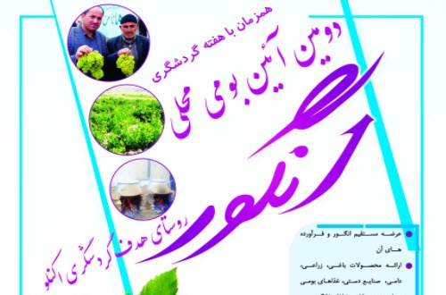 دومین آیین بومی- محلی انگور در روستای اکنلو برگزار می‌شود