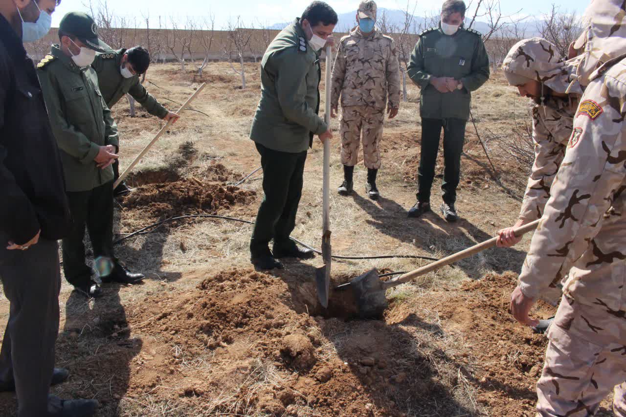 کاشت نهال در محوطه سپاه ناحیه ابهر