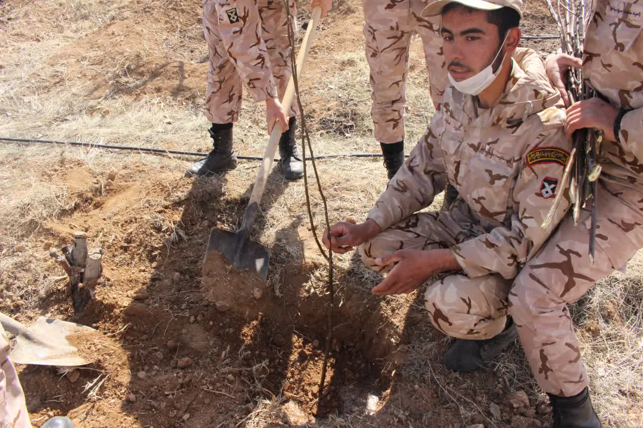 کاشت نهال در محوطه سپاه ناحیه ابهر