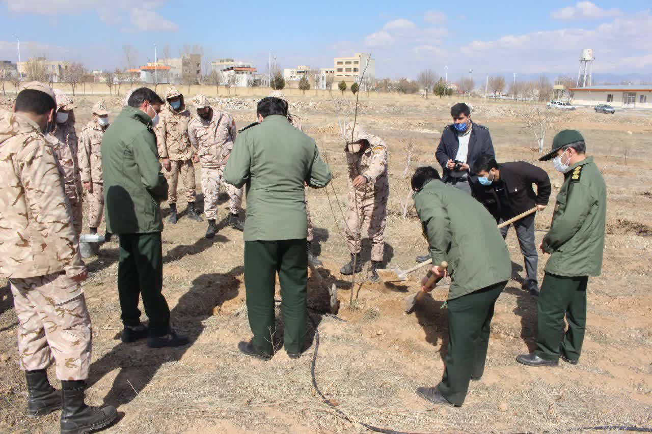 کاشت نهال در محوطه سپاه ناحیه ابهر