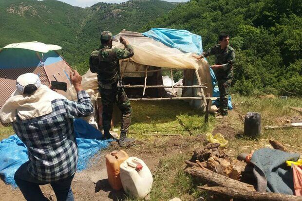 متصرفان جنگل ابر شاهرود اخراج شدند متصرفان جنگل ابر شاهرود اخراج شدند