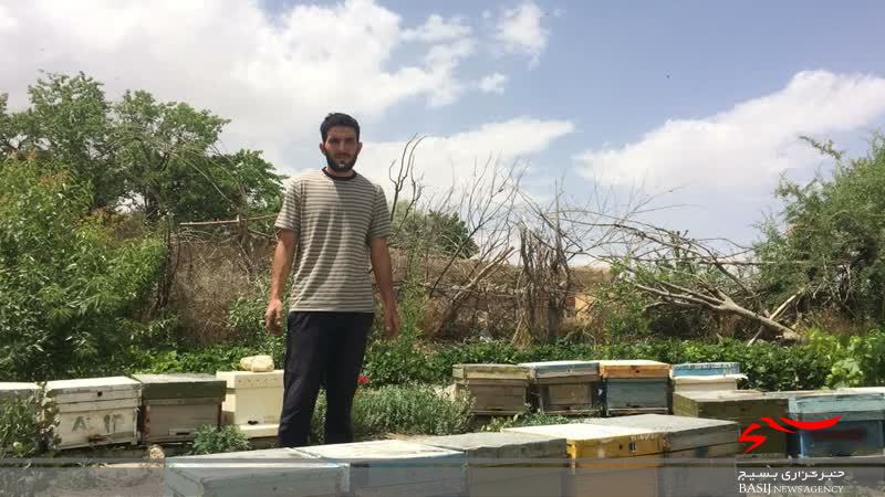 خدمت سربازی که سرنوشت ساز شد/جوان برتر جشنواره سرباز کشور از تغییر مسیر زندگی اش به سمت تولید عسل می گوید