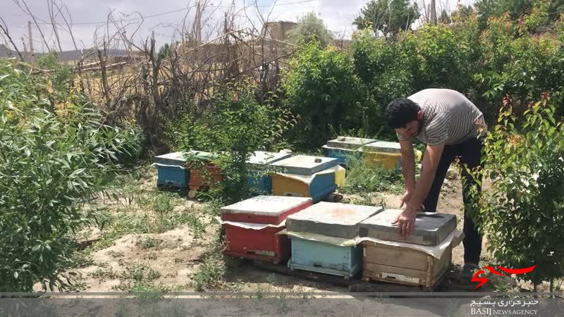خدمت سربازی که سرنوشت ساز شد/جوان برتر جشنواره سرباز کشور از تغییر مسیر زندگی اش به سمت تولید عسل می گوید