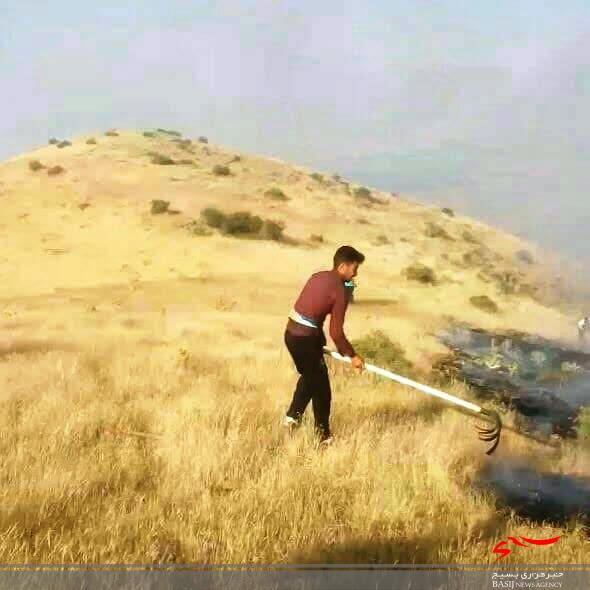 اطفاء حریق 300هکتار از مراتع شهرستان طارم به همت گروه های جهادی این شهرستان+ تصاویر