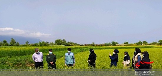 طرح بسیج همگام با کشاورز در ۵۰ روستای چالوس در حال اجرا است