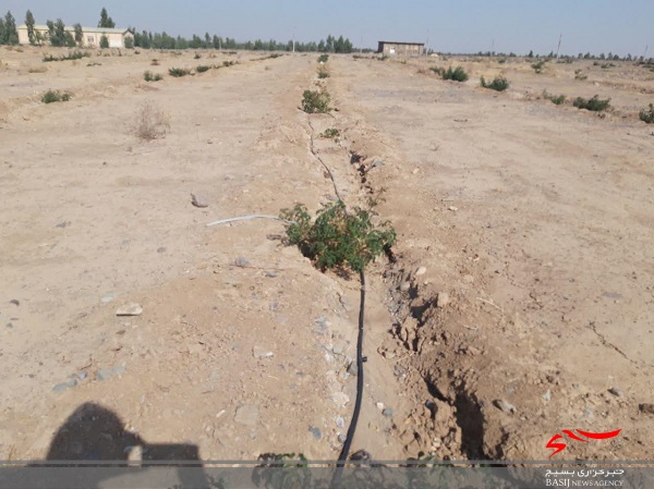 بازدید مسئول سازمان بسیج مهندسین کشاورزی قم از نهالستان گل محمدی