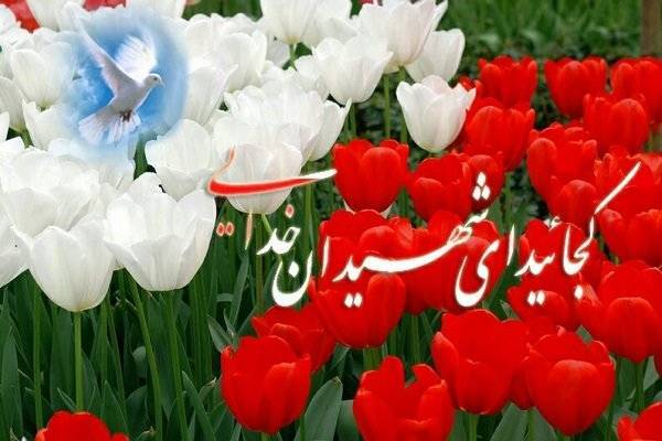 مصاحبه ای با مادرشهید جواد توسلی&zwnj;نیا