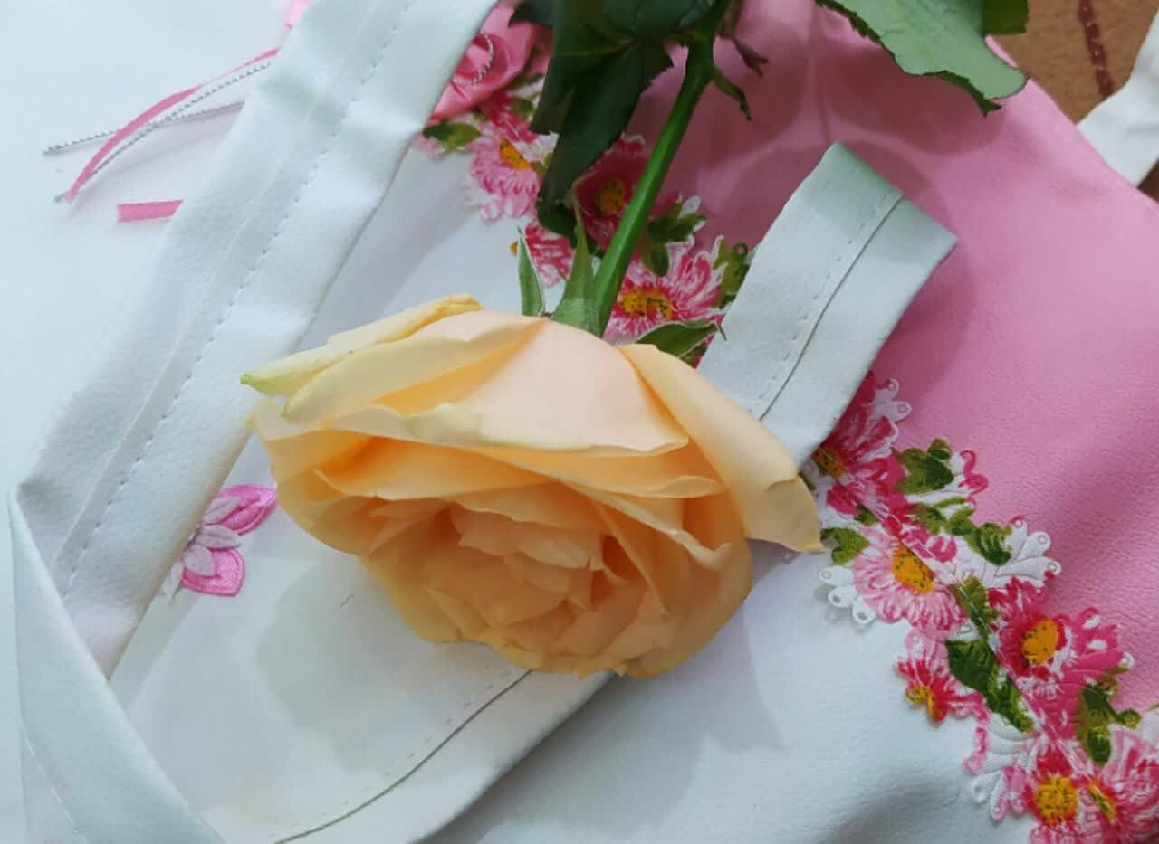 جشن تكليف دانش آموزان دختر مدرسه راهيان كوثر ابهر برگزار شد+تصاوير جشن تكليف دانش آموزان دختر مدرسه راهيان كوثر ابهر برگزار شد+تصاوير