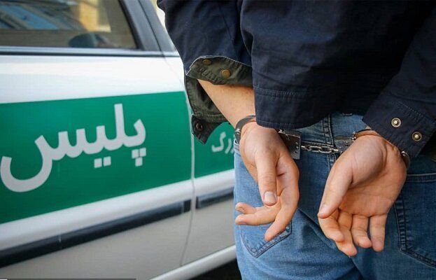 دستگیری سارق و کشف ۱۳ فقره سرقت در گناوه