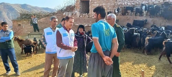 رزمایش جهادی دامپزشکی در مناطق محروم ایلام برگزار شد