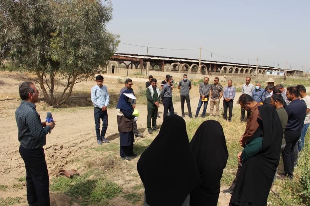 عزم راسخ سازمان بسیج جامعه کشاورزی سپاه فتح در ترویج یافته های علمی روز کشاورزی