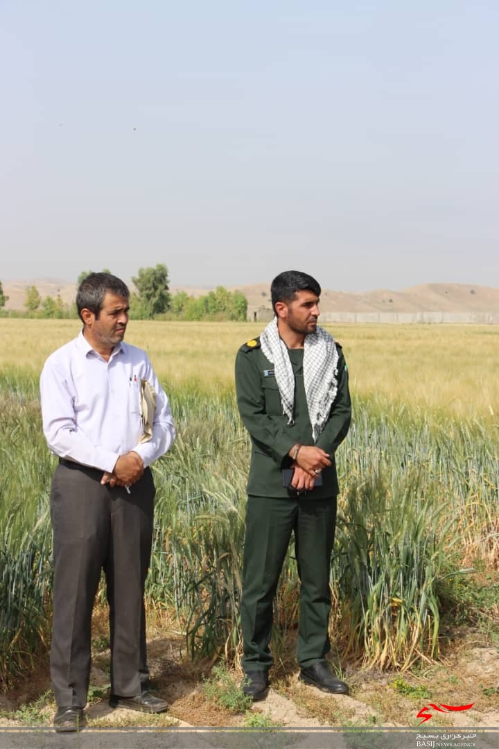 عزم راسخ سازمان بسیج جامعه کشاورزی سپاه فتح در ترویج یافته های علمی روز کشاورزی
