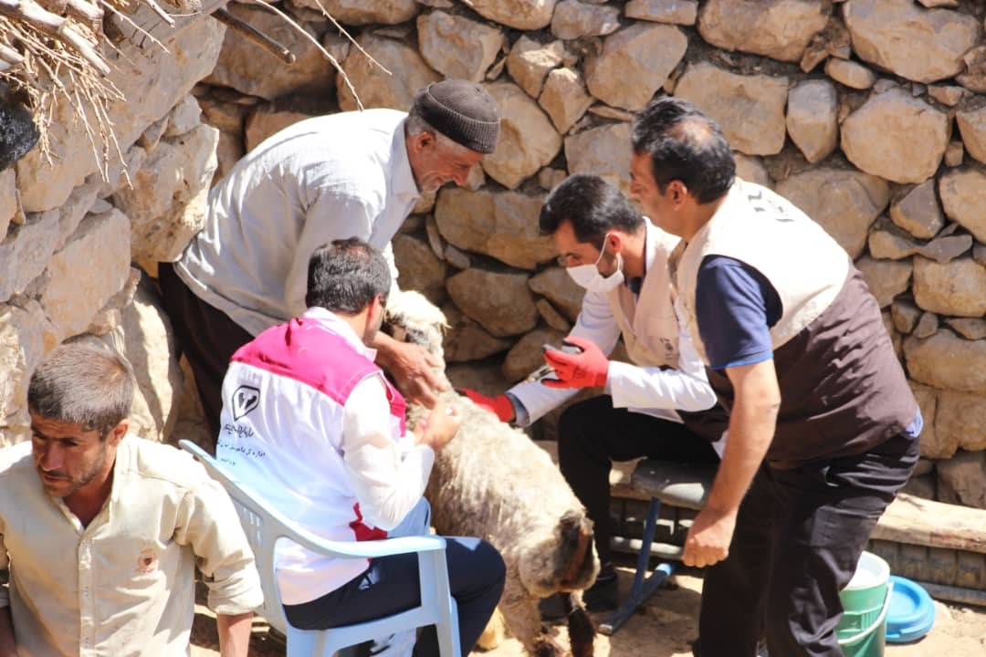 خدمات رسانی سازمان بسیج جامعه کشاورزی کهگیلویه و بویراحمد به روستاهای سخت گذر استان/ واکسیناسیون ۲۵۰۰ راس دام در مورنا