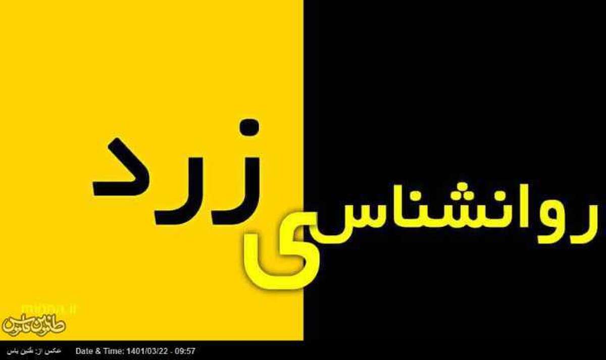 خطر روانشناسی زرد در زندگی زوج‌های جوان/ شبکه‌های اجتماعی بستر رشد روانشناسی تجاری