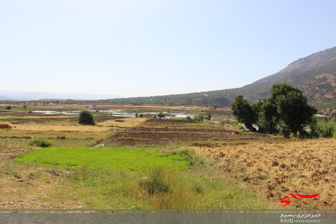 بررسی مشکلات کشاورزان روستاهای ده برآفتاب و گنجه ای سریز