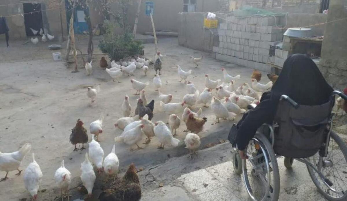 اقدام و عمل بانوی معلول اسدآبادی در اقتصاد مقاومتی