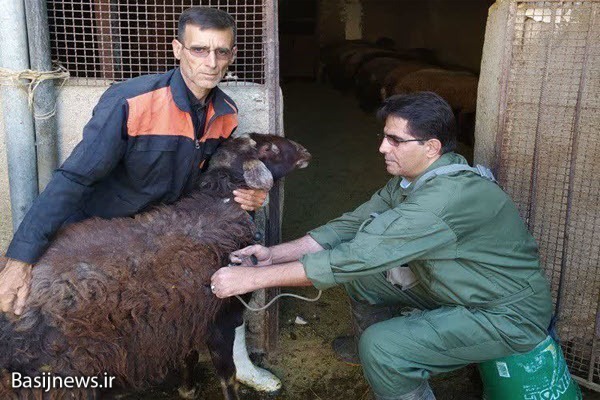 برگزاری اردوی جهادی دامپزشکی به مناسبت هفته دفاع مقدس در نهاوند