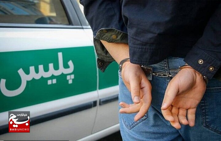 سارقان نوروزی در شهرستان جم دستگیر شدند سارقان نوروزی در شهرستان جم دستگیر شدند