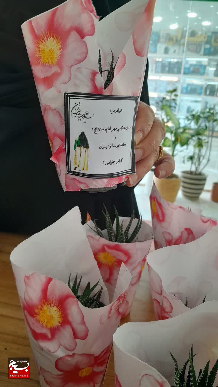برگزاری برنامه های متنوع عفاف و حجاب در هندیجان