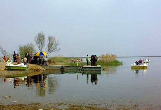 هر پرنده ای که تا حالا ندیدی اینجا ببین