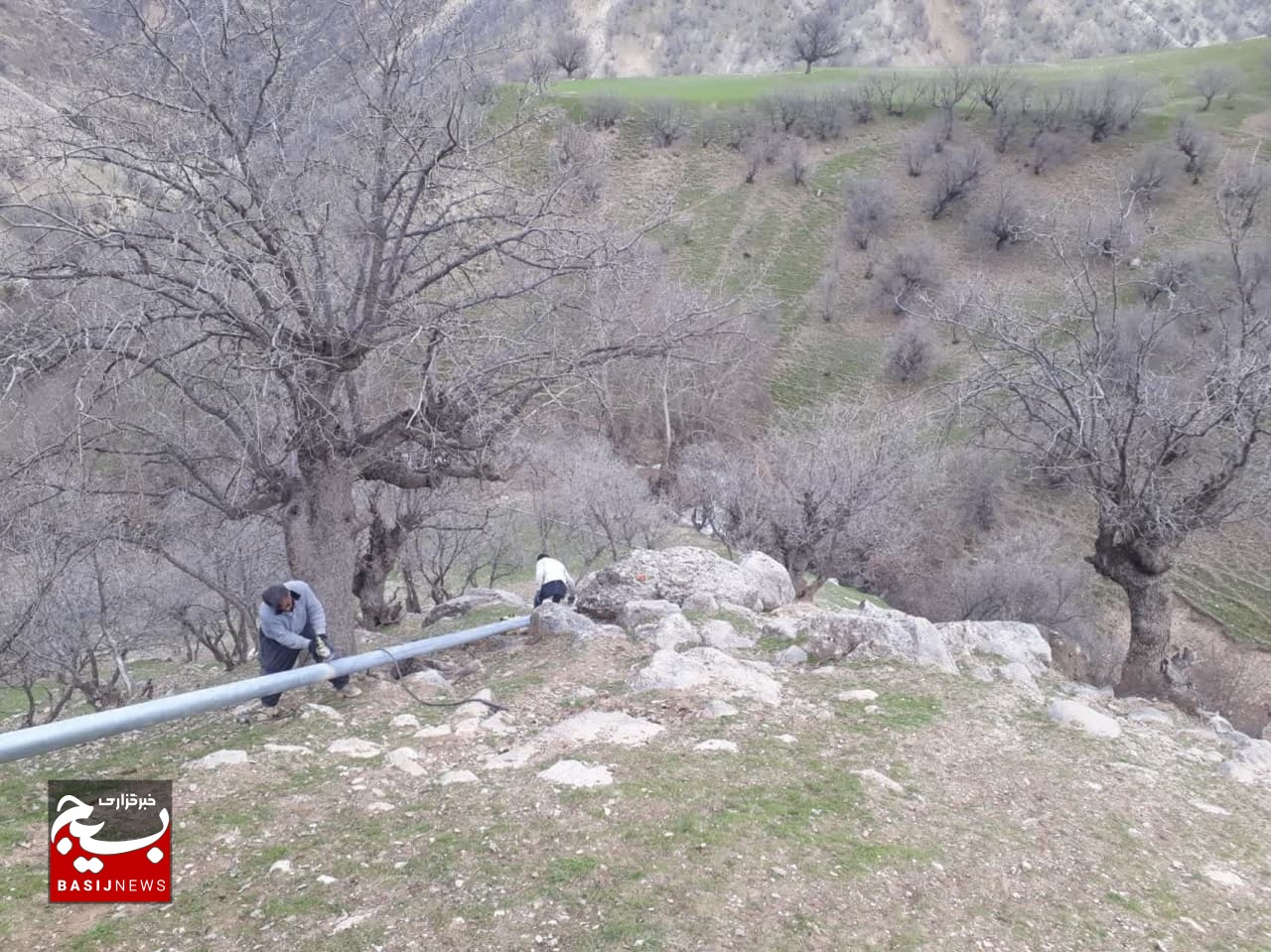 نخبگان را از یاد نبریم نخبگان را از یاد نبریم