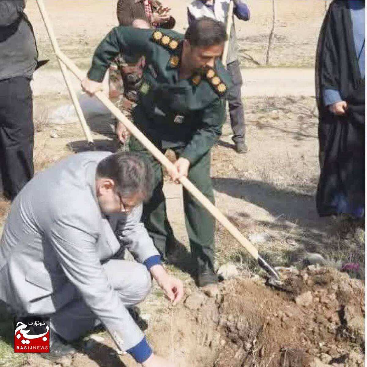 آغاز درختکاری در محور آبیک به قزوین توسط بسیج سازندگی