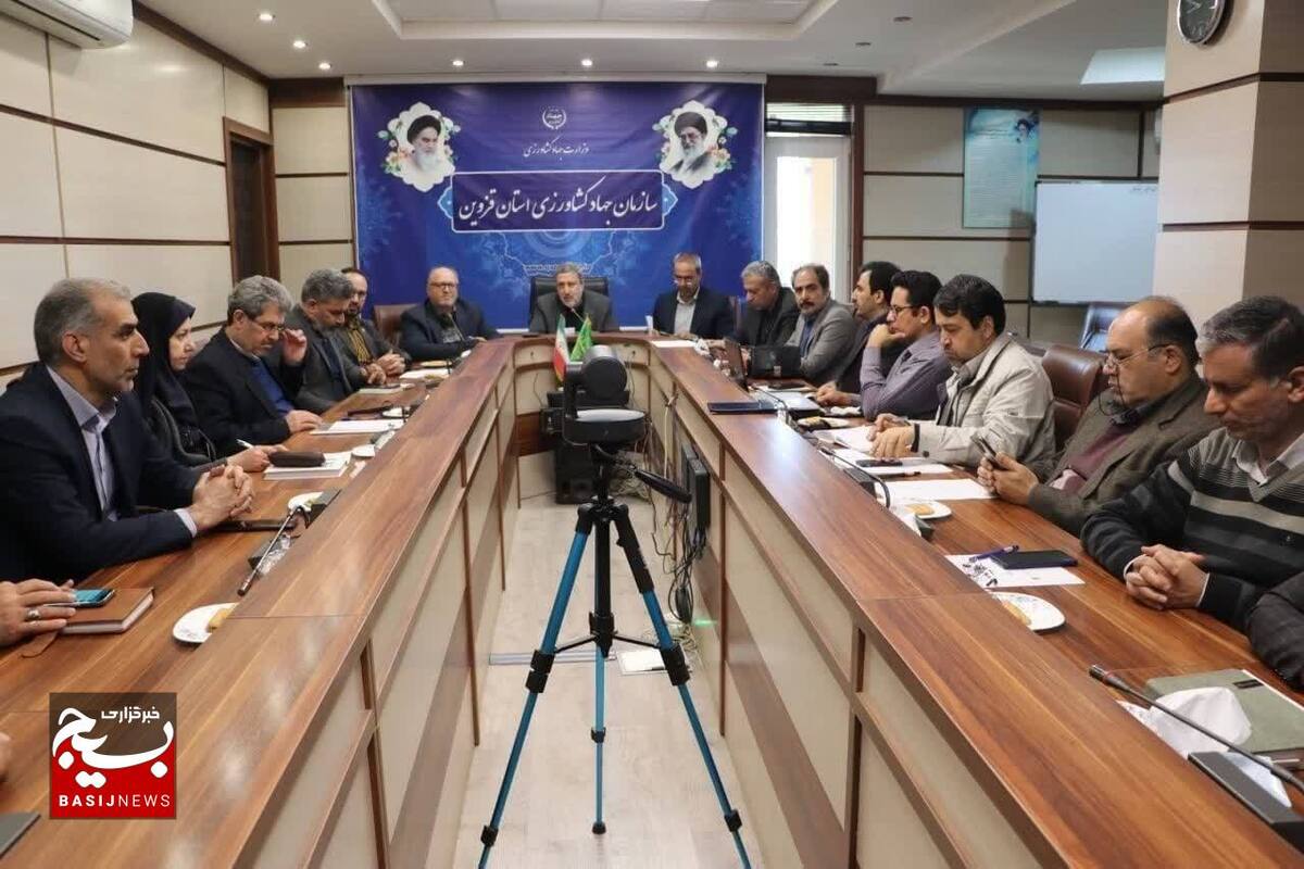 قزوین در سطح بیمه محصولات زراعی دیم طرح جهش تولید جزو استان های پیشرو در کشور است