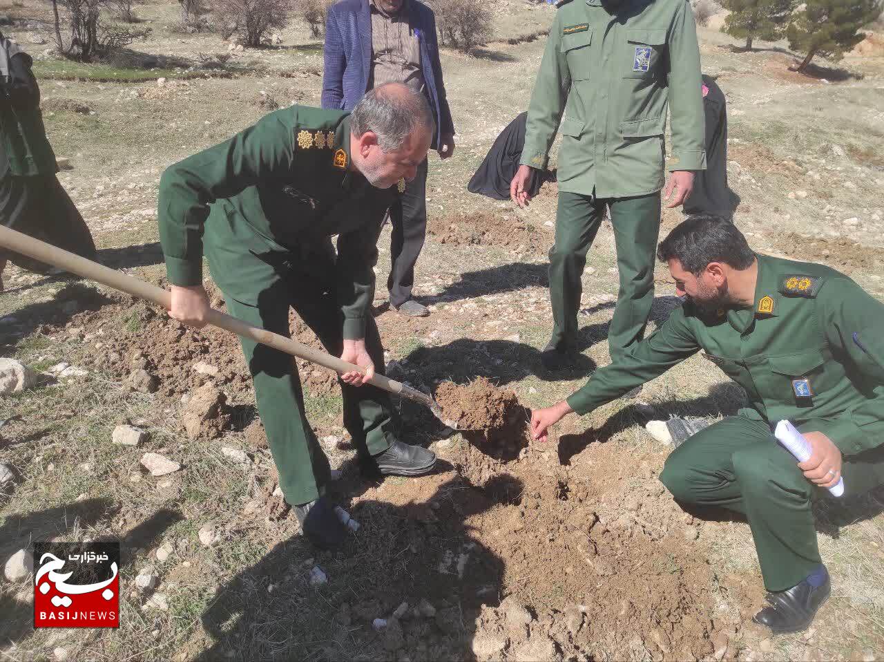 دو هزار اصله درخت در مناطق عشایری کهگیلویه و بویراحمد غرس می‌شود