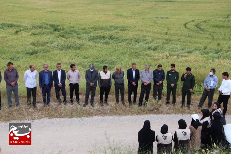 ارایه آموزش های نوین زراعت به 1400 کشاورز باشتی در طرح بسیج همگام با کشاورز ارایه آموزش های نوین زراعت به 1400 کشاورز باشتی در طرح بسیج همگام با کشاورز