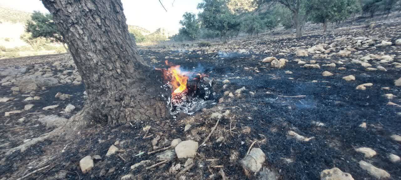 مهارآتش سوزی در جنگلها و مراتع روستاهای حمیدآباد و ده شیخ بخش پاتاوه