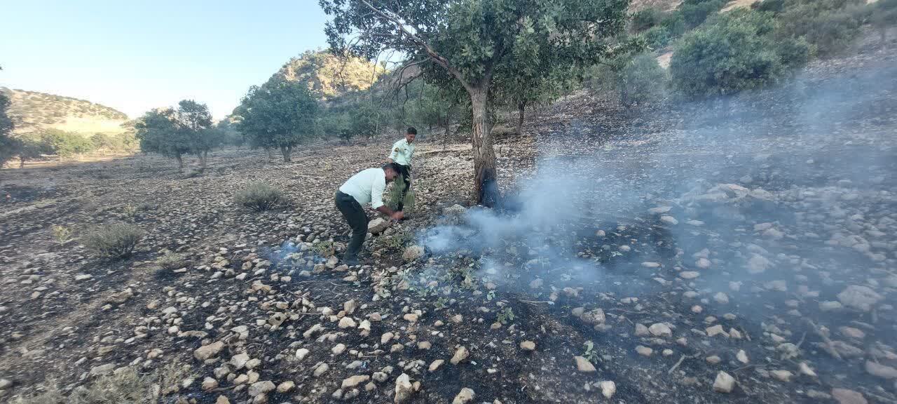 مهارآتش سوزی در جنگلها و مراتع روستاهای حمیدآباد و ده شیخ بخش پاتاوه