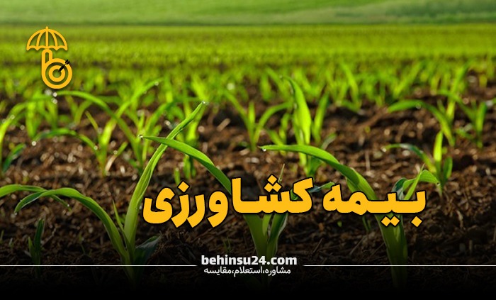 طی دو سال گذشته ۵ همت به کشاورزان بابت خسارت پرداخت شده است
