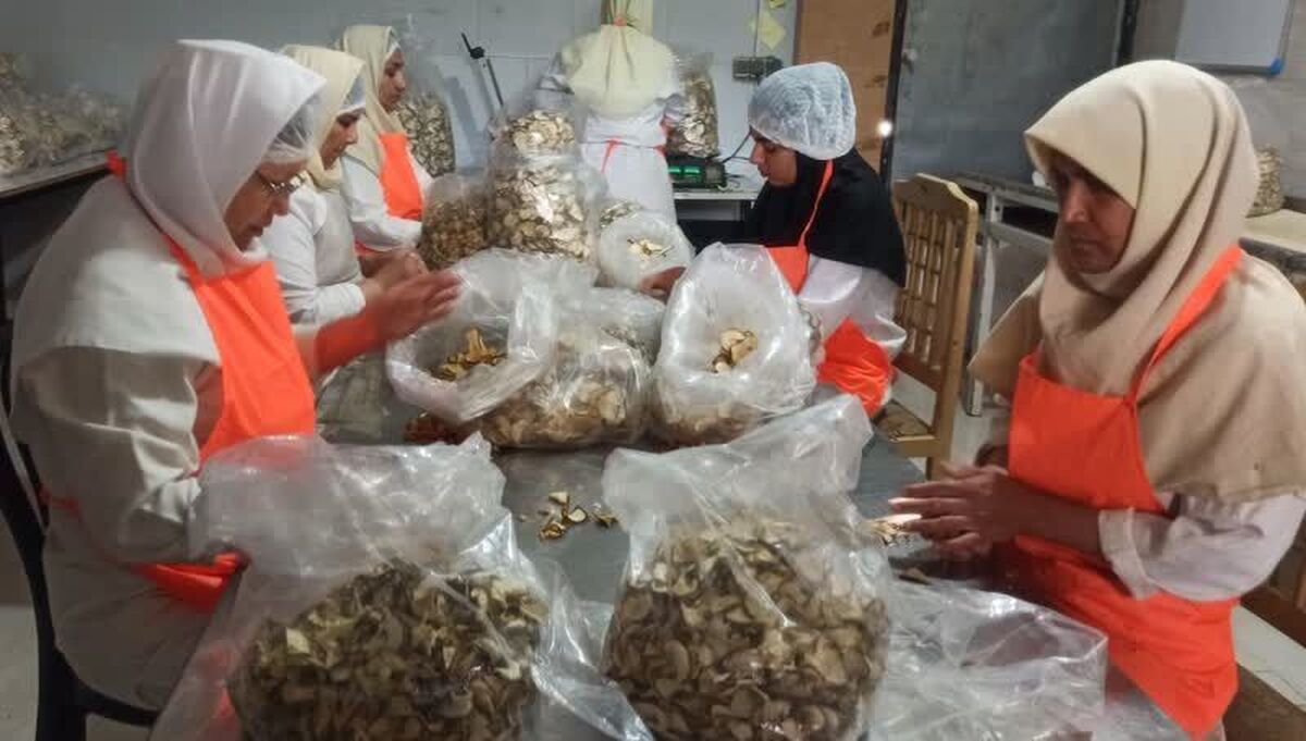 کارآفرین گنبدی با صادرات به چند قاره، باور خانه‌نشینی زنان را تغییر داد
