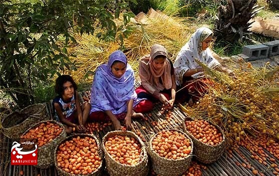 صادرات صنایع دستی نخل روستای بلبل‌آباد بشاگرد به کشورهای منطقه
